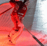 KHL.RU: Увидим ли дуэль финских вратарей? - ХК Витязь