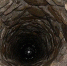 13658457 636972943146003 638293303 n - Chehovchanka-Info.Ru