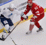 KHL.RU: Как «Адмирал» завершит домашнюю серию? - ХК Витязь