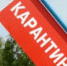 Под Серпуховом карантин бешенству - Chehovchanka-Info.Ru