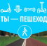Минтранс Подмосковья напоминает правила движения для самокатов, сегвеев и велосипедов - Чехов сегодня