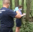Загадочную гибель молодой женщины расследуют в Подмосковье - Chehov-Vid.Ru