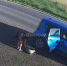 Девушка из Чехова спасла собаку от неминуемой смерти - Chehov-Vid.Ru