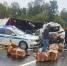 Фура смяла легковушку при массовой аварии на трассе М-2 «Крым» - Chehov-Vid.Ru