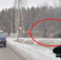 Водителя зажало в машине после лобового ДТП в Чеховском округе - Chehov-Vid.Ru