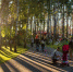park-minblag.jpg - Чехов сегодня