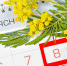 График работы в праздничные дни - Музей-заповедник Мелихово