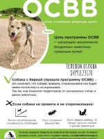 Программа ОСВВ