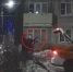 Молодой бородач открыл огонь из винтовки среди жилых домов в Подольске - Chehov-Vid.Ru