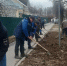 В Чехове стартовал месячник по благоустройству. Где получить инвентарь и саженцы - Chehov-Vid.Ru
