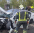 Автоледи устроила лобовое ДТП в Подмосковье из-за прыгнувшего на лицо паука - Chehov-Vid.Ru