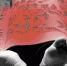 Грибы довели церковнослужителя из Подмосковья до нелепой кончины - Chehov-Vid.Ru