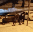 Нелепая авария случилась под Новый год в подмосковном Чехове - Chehov-Vid.Ru