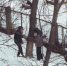 В Чехове подростков заподозрили в поиске закладок у детского сада - Chehov-Vid.Ru