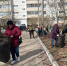 Большой субботник ждёт жителей Подмосковья - Chehov-Vid.Ru