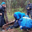 Подмосковные спасатели рассказали, кому нельзя ходить в лес - Chehov-Vid.Ru