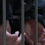 Насильника и убийцу несовершеннолетней отправили за решётку пожизненно в Серпухове - Chehov-Vid.Ru
