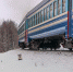 Собаку посчитали «зайцем» и высадили из электрички в Чехове - Chehov-Vid.Ru