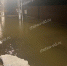Деревня на юге Московской области частично ушла под воду - Chehov-Vid.Ru