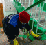 В Подмосковье опубликовали рейтинг содержания многоквартирных домов - Chehov-Vid.Ru