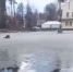 В Подмосковье девушка нырнула в ледяной пруд, чтобы спасти собаку - Chehov-Vid.Ru