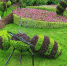 Популярные дачные украшения несут скрытую угрозу - Chehov-Vid.Ru