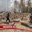 Фудкорт построят у входа в Губернский лесопарк в Чехове - Regions.Ru