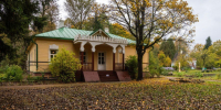 Самым теплым днем недели в Подмосковье станет 21 ноября - Regions.Ru