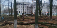 Последствия урагана устраняют коммунальщики в городском округе Чехов - Regions.Ru
