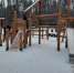 Новый парк в городском округе Чехов вызвал ажиотаж - Chehov-Vid.Ru