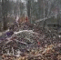 Гора зловонной мерзости появилась в военном городке на юге Подмосковья - Chehov-Vid.Ru