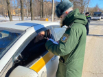 В Чехове силовики выявили несколько нарушителей закона среди таксистов