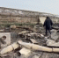 Появилось видео пожара в тепличном комплексе под Чеховом - Regions.Ru