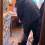 Насильника и убийцу из Подольска суд отправил в колонию на крупный срок - Chehov-Vid.Ru