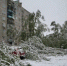 Первомайский снегопад натворил бед в Московском регионе - Chehov-Vid.Ru