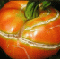 На томатах трещины? Рассказываем, как этого избежать - Chehov-Vid.Ru