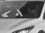 Очень необычного нарушителя за рулём авто сняли камеры в Подмосковье