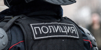 В Чехове задержали владелицу зоогостиницы за жестокое обращение с животными - Regions.Ru