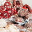 Молочные и мясные продукты из регионов России продают на ярмарке в Чехове - Regions.Ru