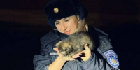 Спасатели в Подмосковье вызволили котенка из-под декоративной обшивки здания - Chehov-Vid.Ru