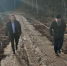 Временную дорогу к храму в Капустине расширят для удобства жителей - Regions.Ru