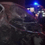 Под Чеховом столкнулись две грузовика - Chehov-Vid.Ru