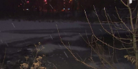 В Подмосковье чудом спасли двоих детей из реки - Chehov-Vid.Ru