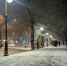 Температура опустится до -15°C, а сугробы вырастут до 30 см в Подмосковье - Regions.Ru