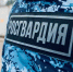 Патруль Росгвардии в Чехове: как обычная проверка обернулась изъятием крупной партии - Regions.Ru