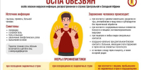 Оспа обезьян: экзотический вирус добрался до Подмосковья - Chehov-Vid.Ru