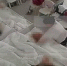 В детском саду в Коммунарке детей «успокаивали» силой - Chehov-Vid.Ru