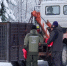 Хищная «блондинка» с Севера осваивается в Подмосковье - Chehov-Vid.Ru
