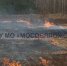 1:0 в пользу МЧС: в Подмосковье открыт счет палам травы - Chehov-Vid.Ru