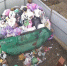 Города Подмосковья погрязли в мусоре - Chehov-Vid.Ru